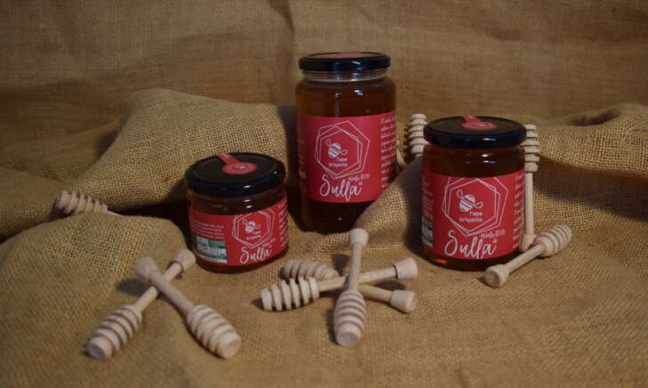 Miele di sulla biologico - immagine 2